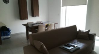 Fully furnished modern apartment.