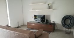 Fully furnished modern apartment.