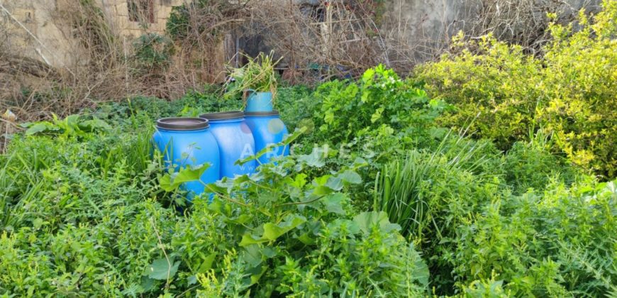 Tarxien – site for farmhouse