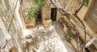 ZEJTUN – HOUSE OF CHARACTER